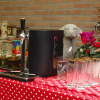 puppytap