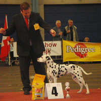 dalmatier Yenthe